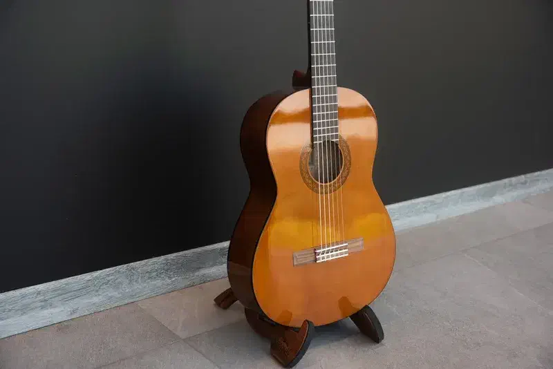 فروش ویژه گیتار C40-C70-C80|گیتار، بیس، امپلیفایر|تهران, آزادشهر|دیوار