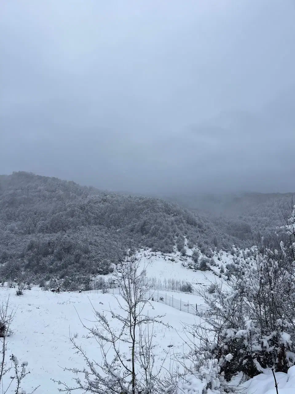 ویلا ۷۵ متری نوساز سنگچال فیلبند|اجارهٔ کوتاه‌مدت آپارتمان و سوئیت|آمل, |دیوار