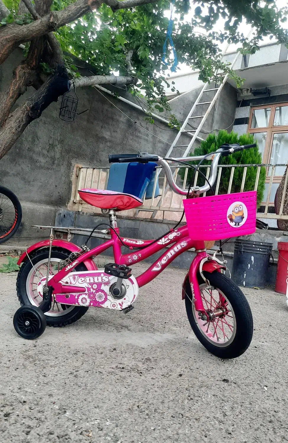 دوچرخه۱۲دخترانه درحد|دوچرخه، اسکیت، اسکوتر|مهربان, |دیوار