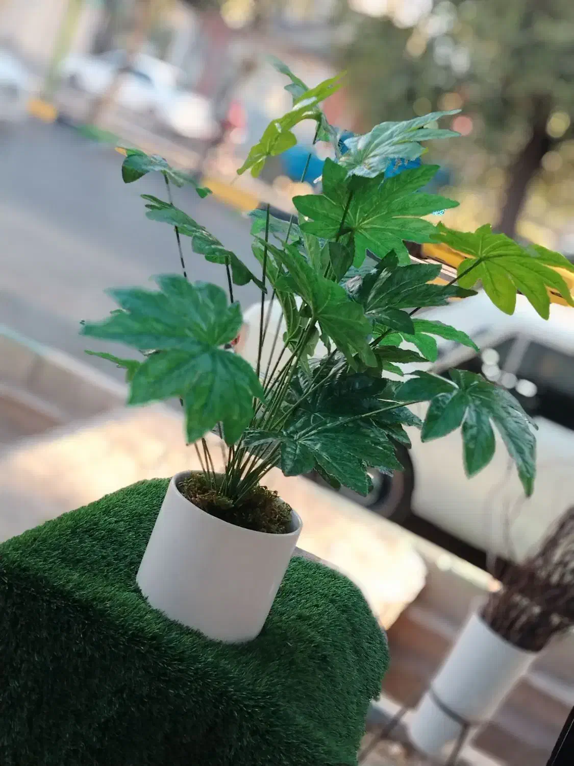 درختچه های مصنوعی‌.گیرین وال .چمن مصنوعی|گل مصنوعی|اصفهان, شهرستان|دیوار