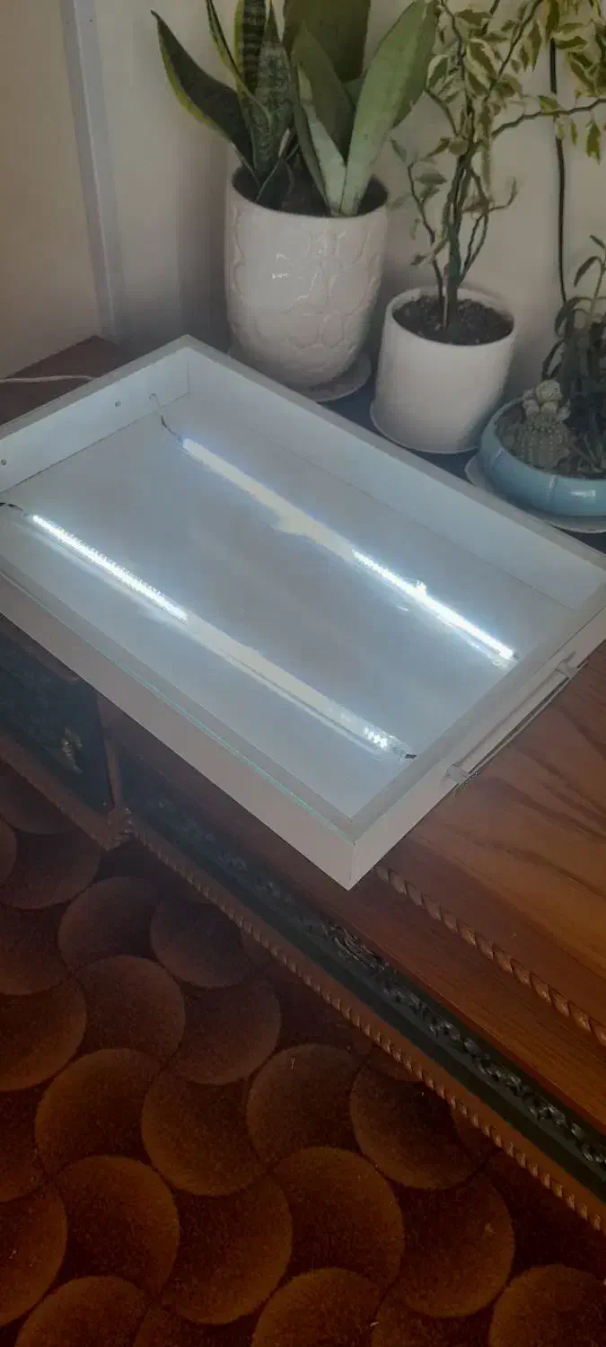 میز.چراغدار.نوری|لامپ و چراغ|گلبهار, شهر جدید گلبهار|دیوار