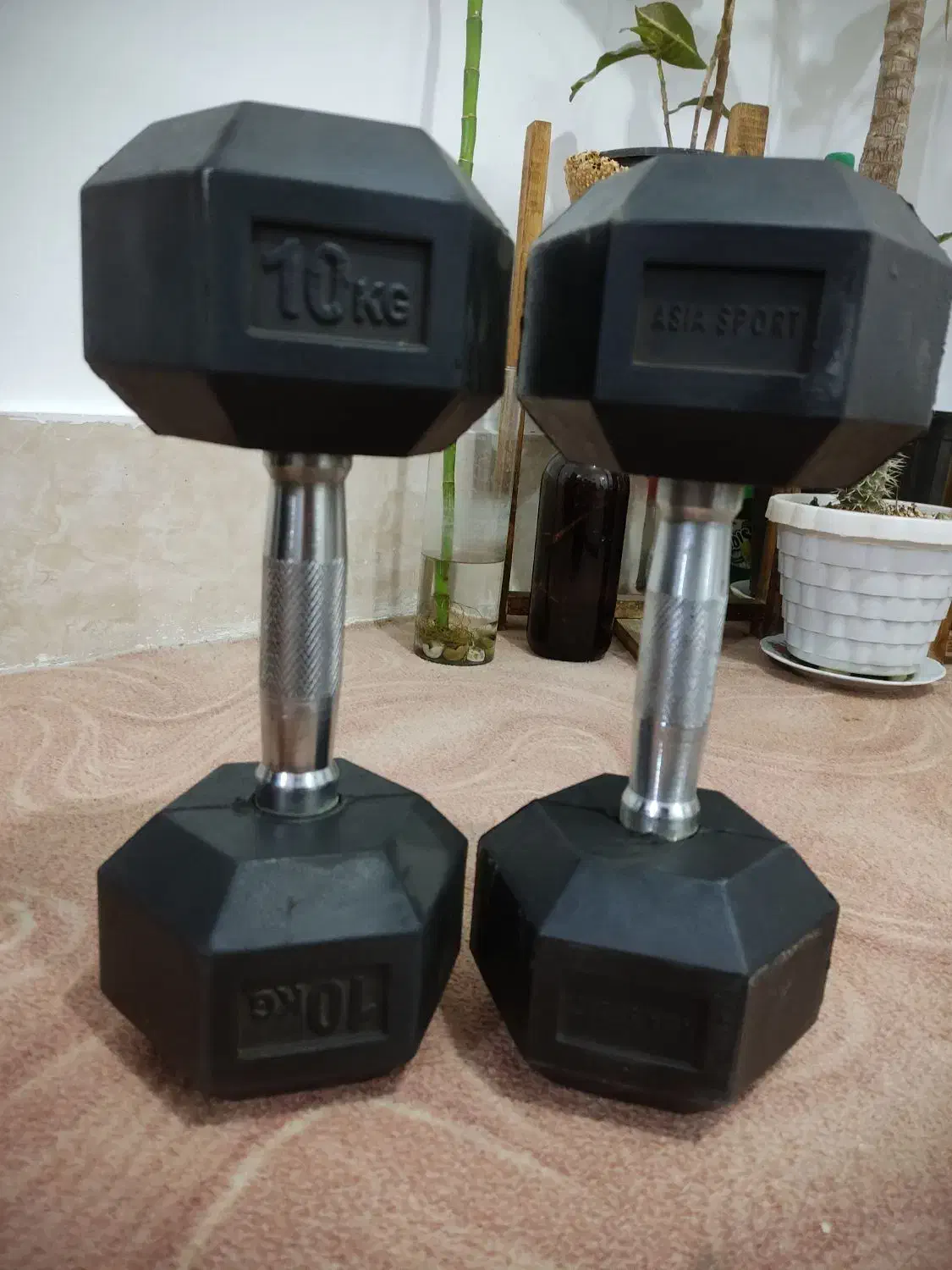 دمبل|تجهیزات ورزشی|زاهدان, |دیوار