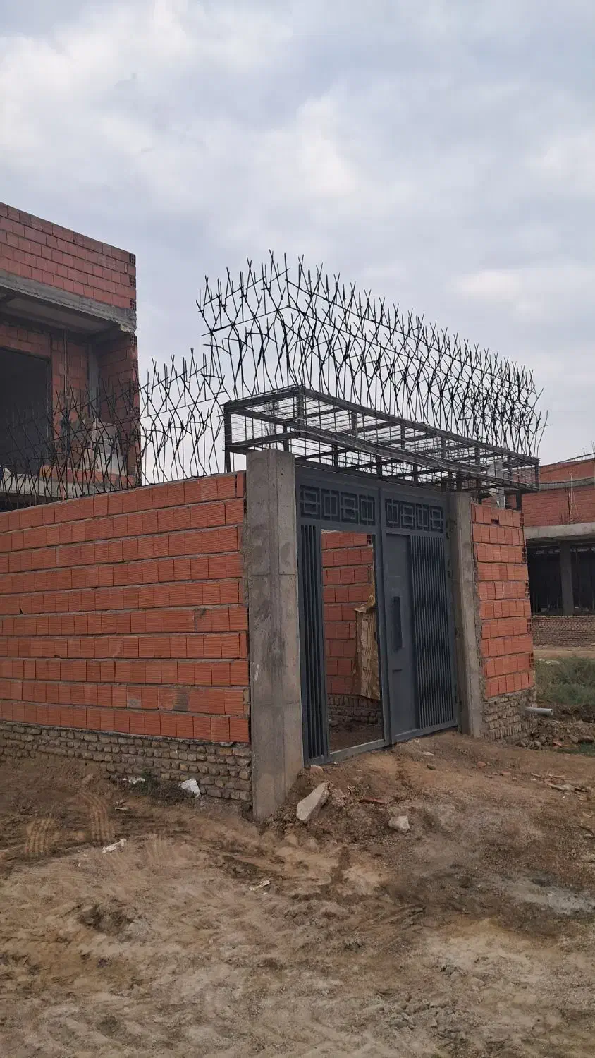 حفاظ شاخ گوزنی|خدمات پیشه و مهارت|گنبد کاووس, |دیوار