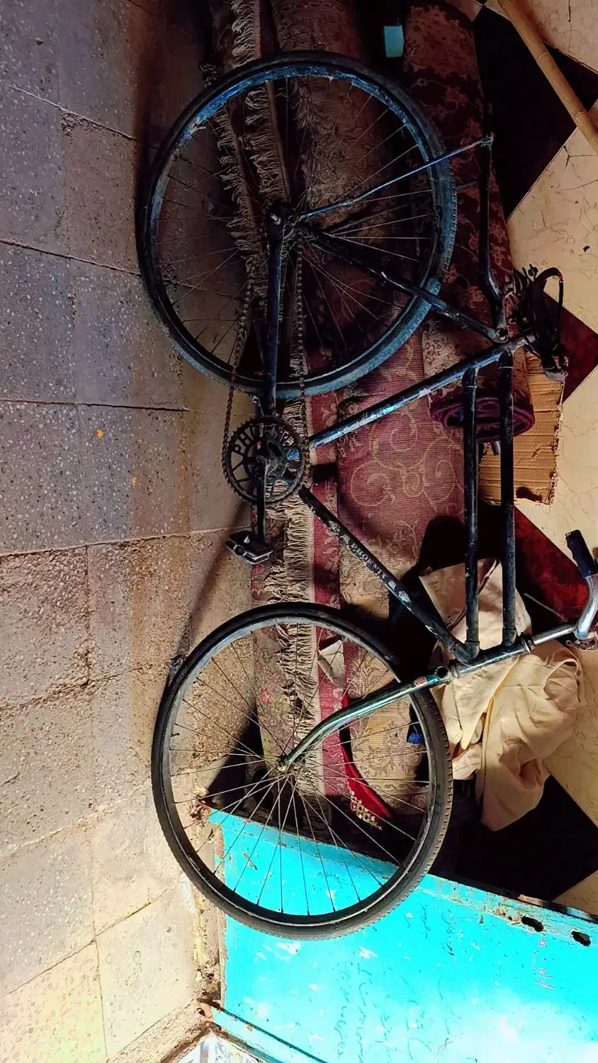 دو چرخه فنیکس|دوچرخه، اسکیت، اسکوتر|اهواز, کوی علوی|دیوار