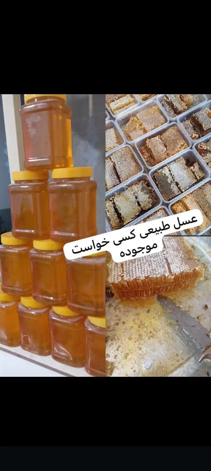 عسل ۱۰ حلب|خوردنی و آشامیدنی|شاهین دژ, |دیوار
