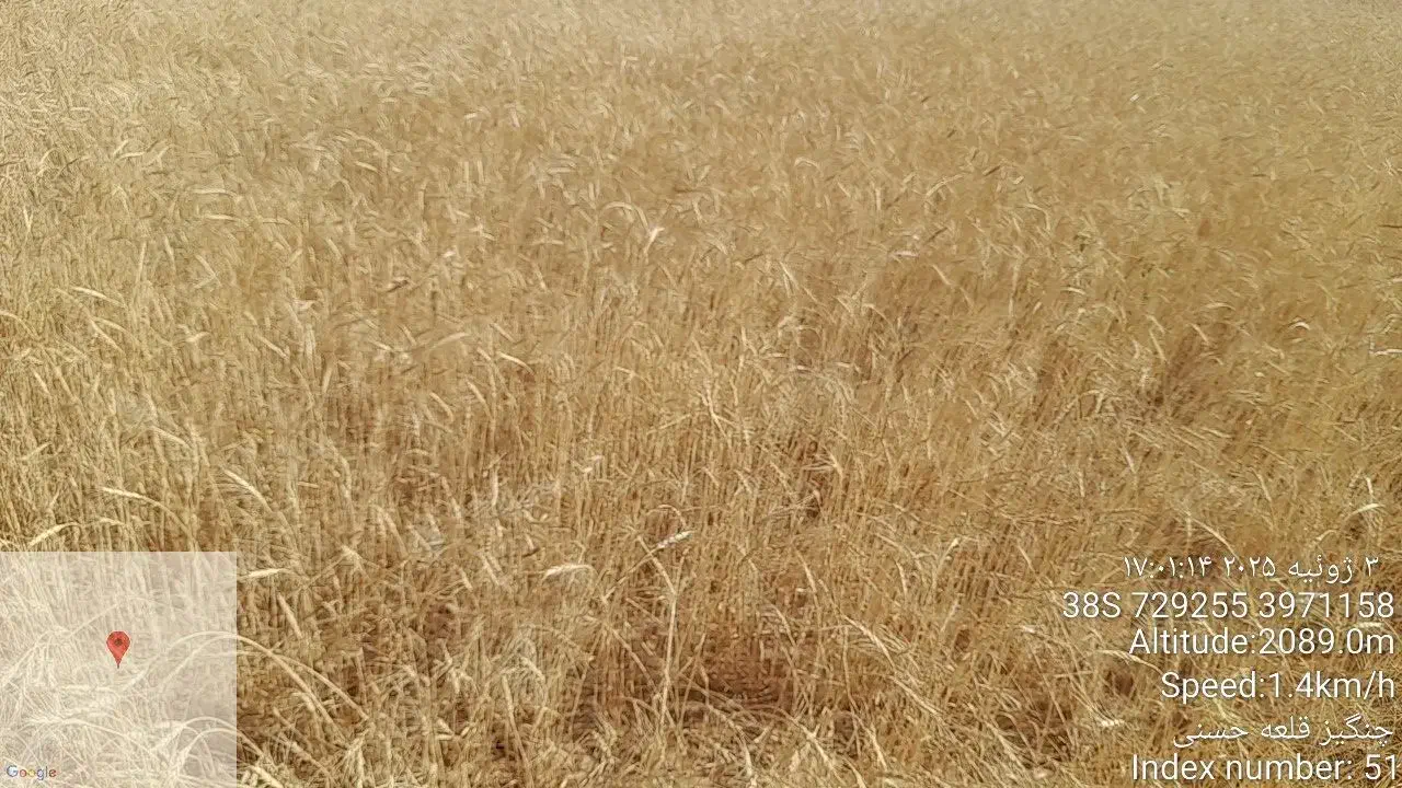 فروش ۱۶ کیسه زمین کشاورزی|فروش زمین و ملک کلنگی|بیجار, |دیوار