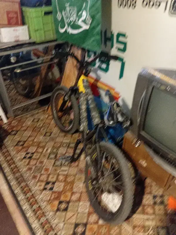 دوچرخه 20|دوچرخه، اسکیت، اسکوتر|آستانه اشرفیه, |دیوار