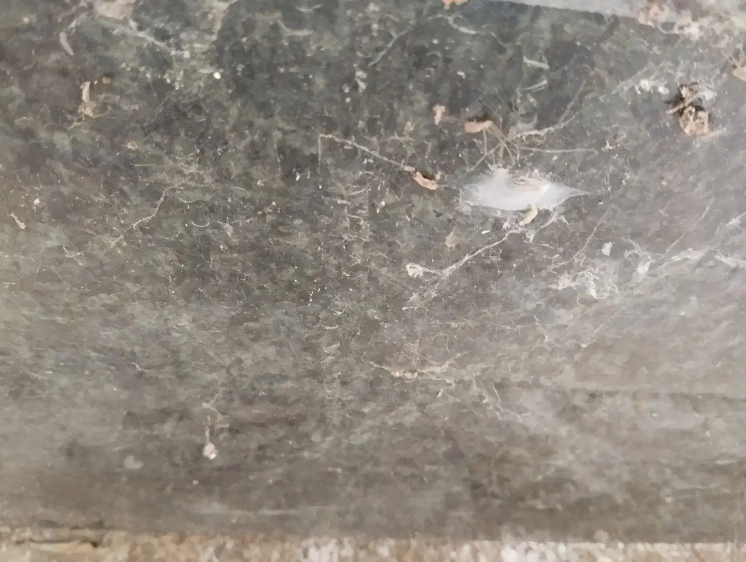 سنگ اپن|حراج|نوشهر, |دیوار