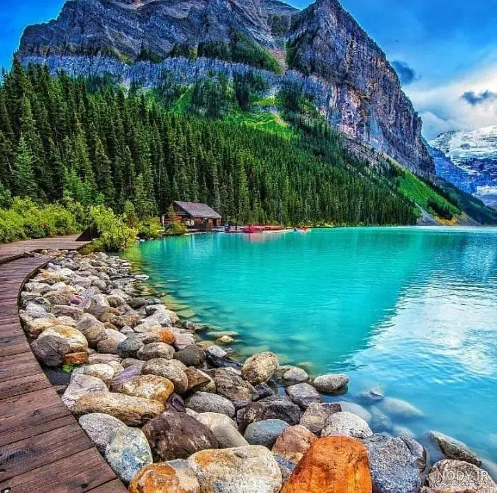 بازدید از مکان های تفریحی|فعالیت داوطلبانه|مشهد, ایثار|دیوار