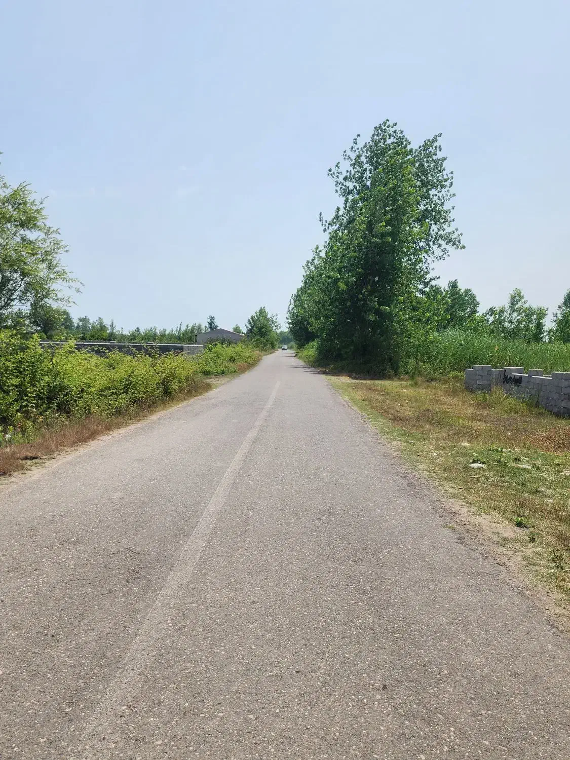 ۲۰۰ متر تا انشعابات برق گاز /زمین مسکونی ۲۵۰ متری|فروش زمین و ملک کلنگی|چاف و چمخاله, |دیوار