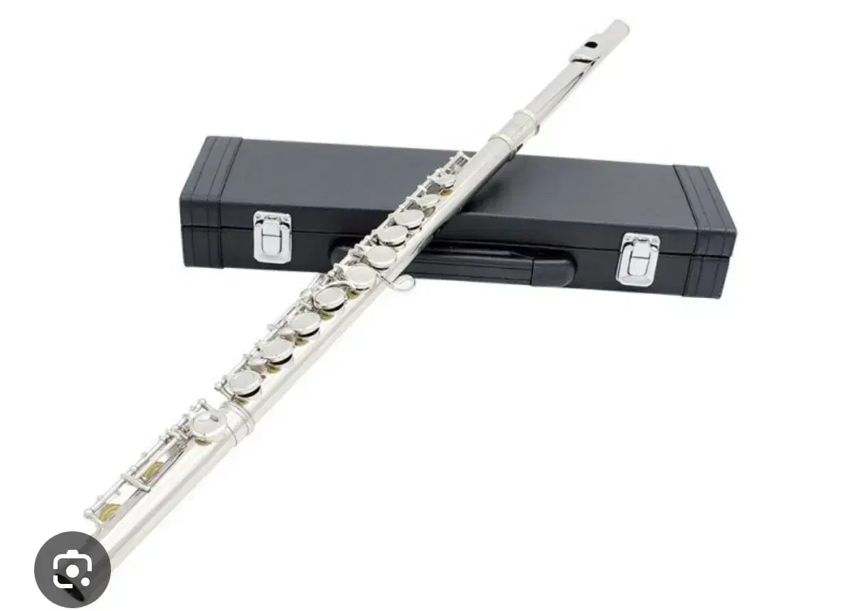 فلوت کلیدی ژوپیتر آک بند|سازهای بادی|اصفهان, باغ زرشک|دیوار