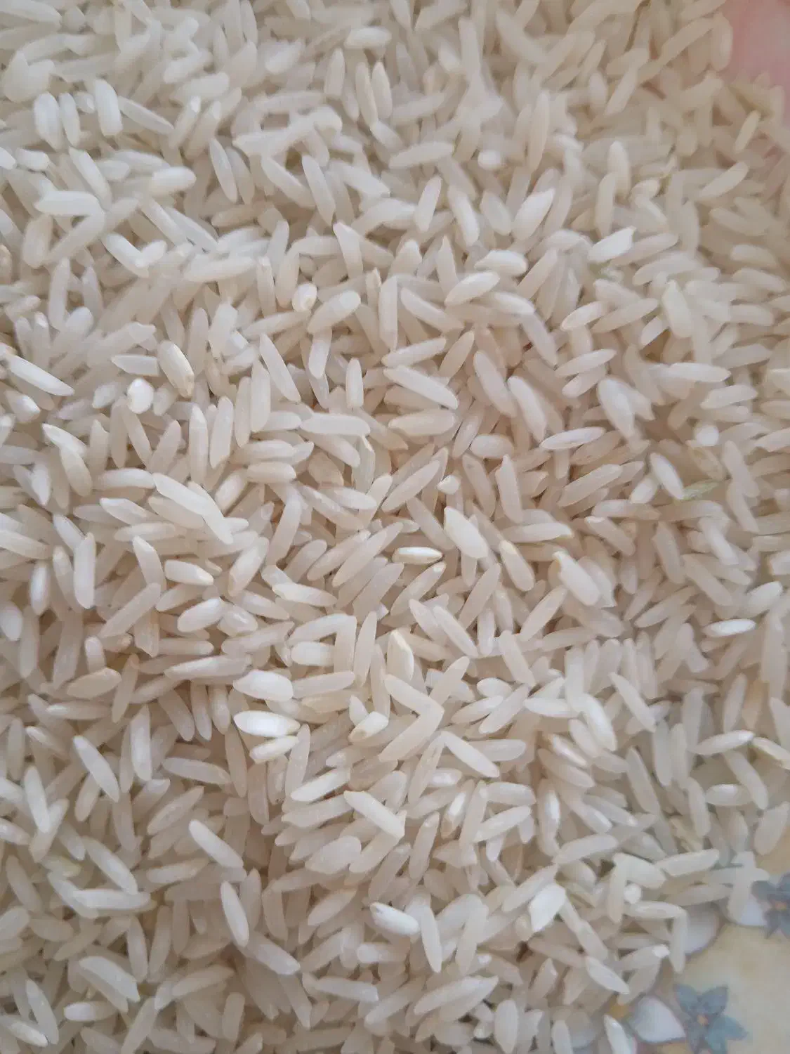 برنج فجر نورآبادی|خوردنی و آشامیدنی|صدرا-فارس, فاز ۱|دیوار