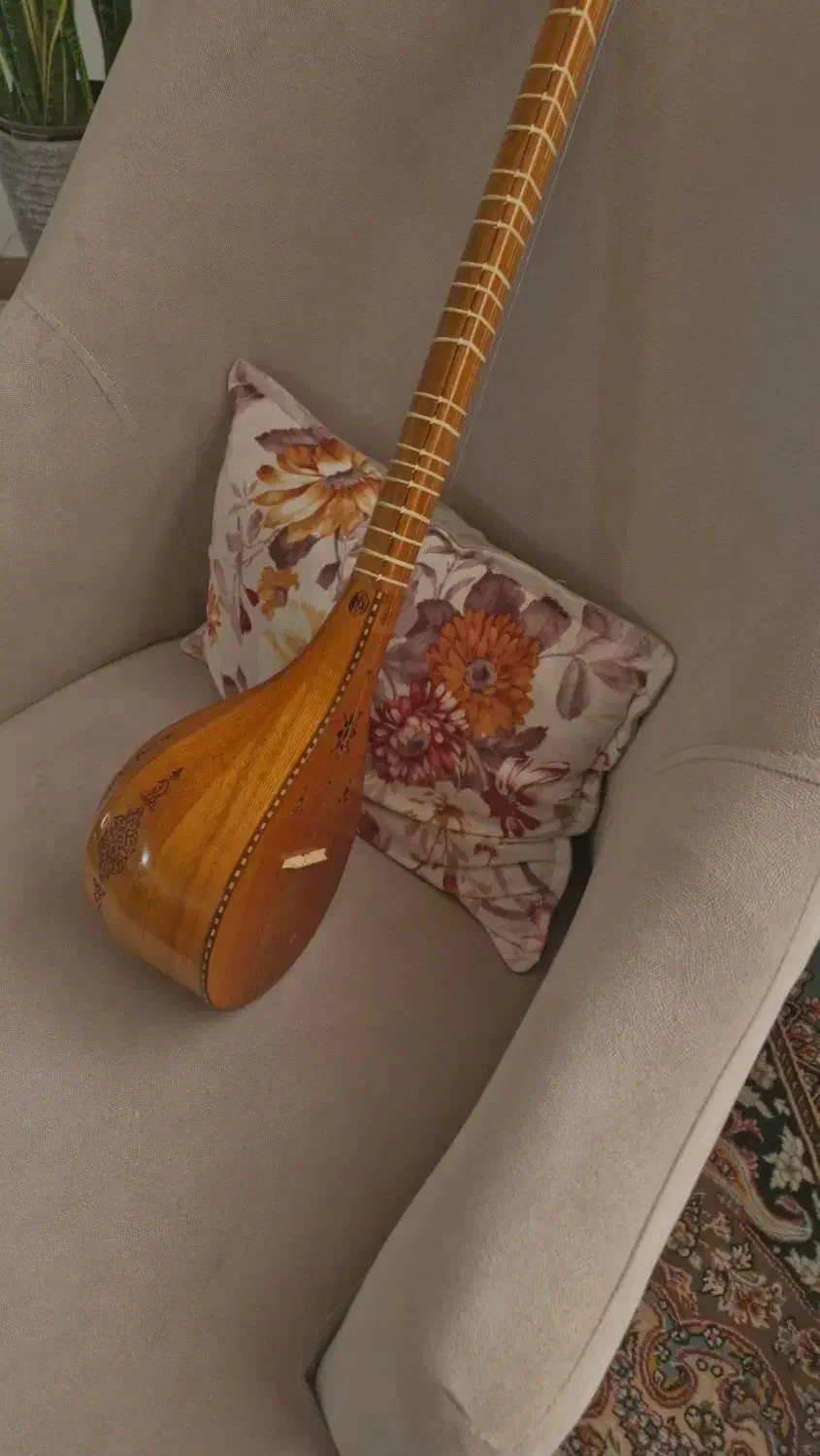 ساز سهتار مفاخری به همراه کیف|سازهای سنتی|رشت, چمارسرا|دیوار