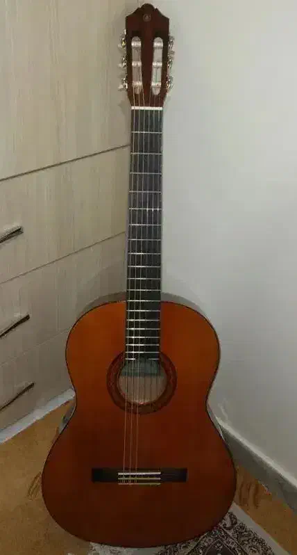 گیتار نو|گیتار، بیس، امپلیفایر|یاسوج, |دیوار