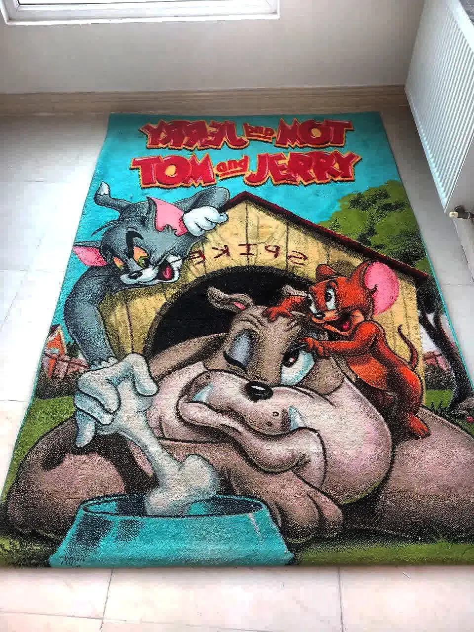 گلیم فرش کودک|گلیم، جاجیم، گبه|شاهرود, |دیوار