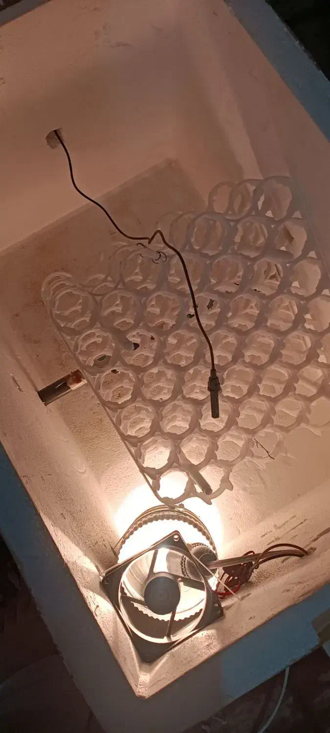 دستگاه جوجه کشی|لوازم جانبی حیوانات|کرمانشاه, |دیوار