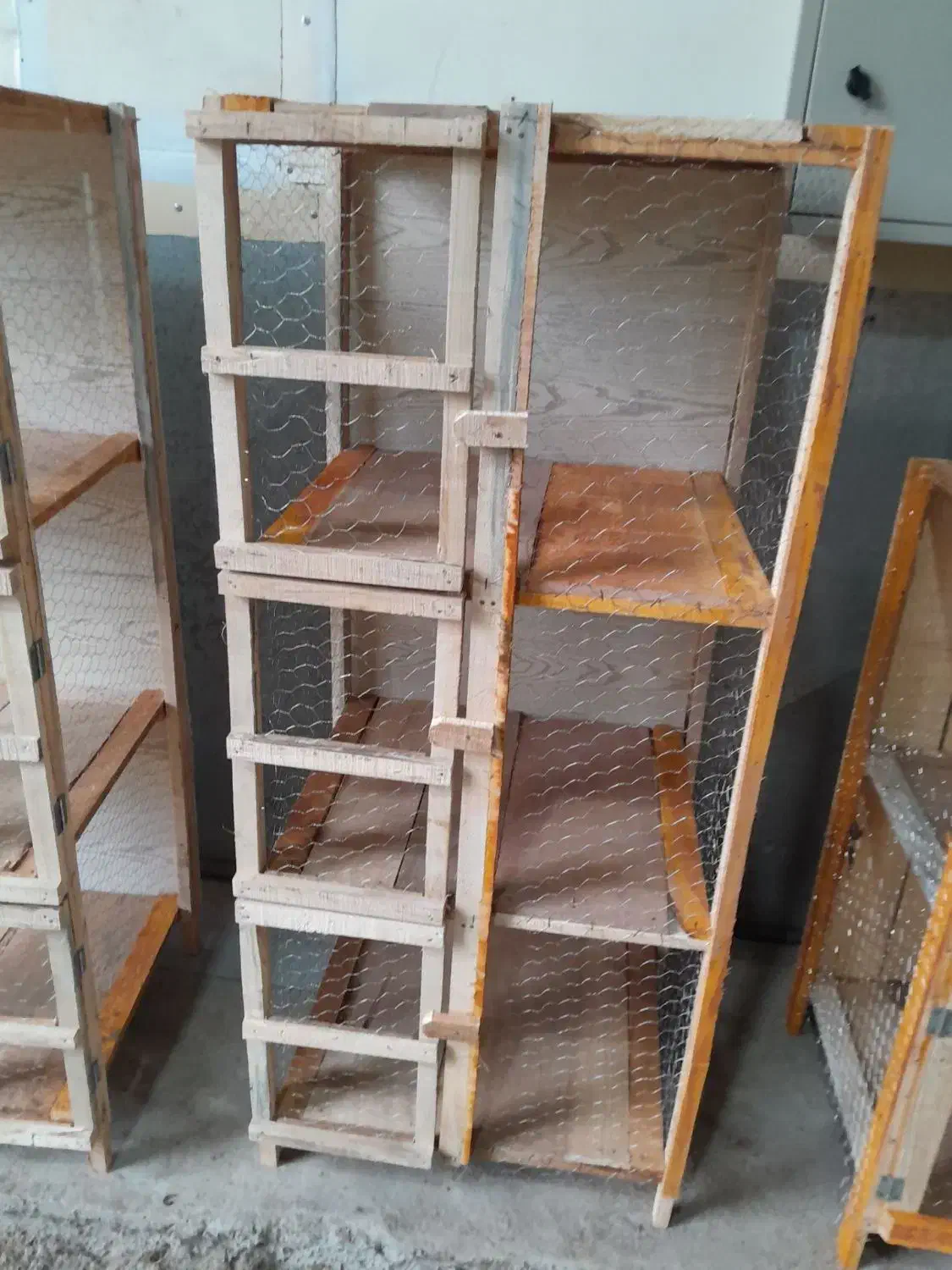 تولیدی/ جفت کن کبوتر/300 تومان|لوازم جانبی حیوانات|رشت, توشیبا|دیوار