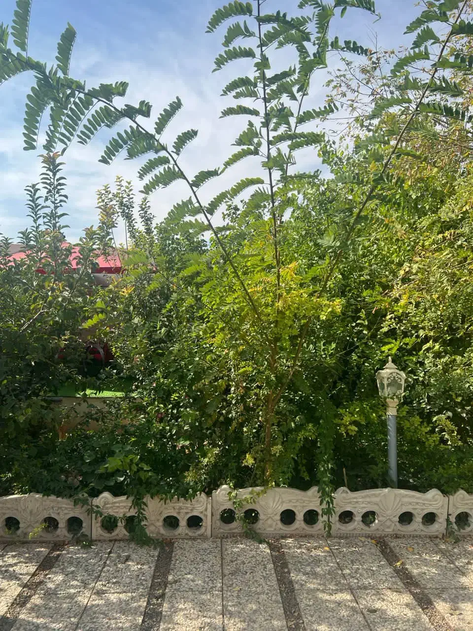 سریدارویلا|استخدام سرایداری و نظافت|صباشهر, |دیوار