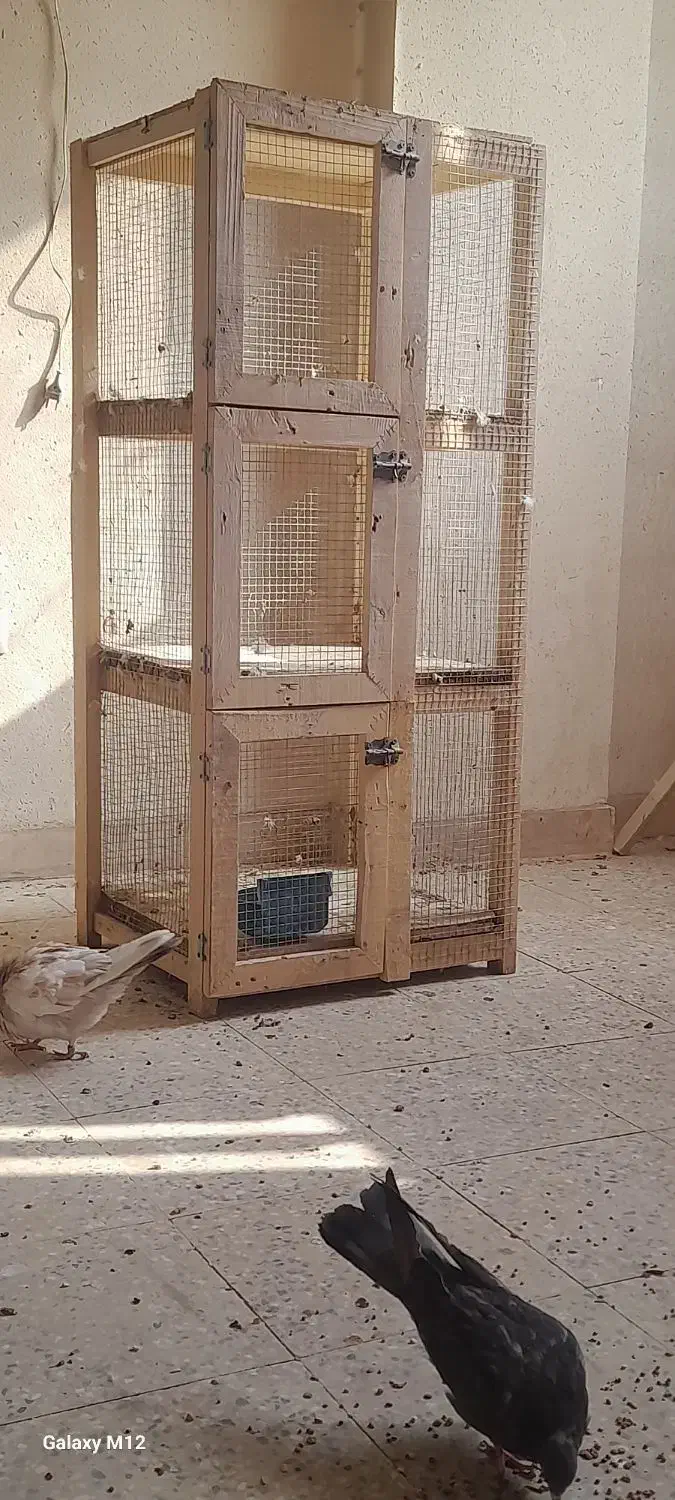 سه عدد جفت کن سالم اهنی با دوتا چوبی|لوازم جانبی حیوانات|شاهین‌شهر, سعدی جنوبی|دیوار