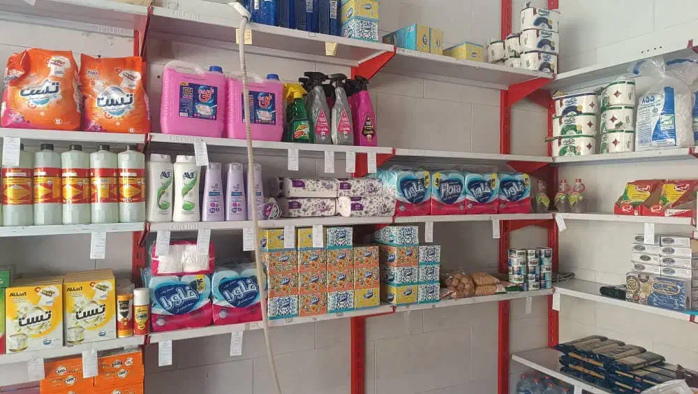 قیمت مناسب|مواد شوینده و دستمال کاغذی|شوش, |دیوار