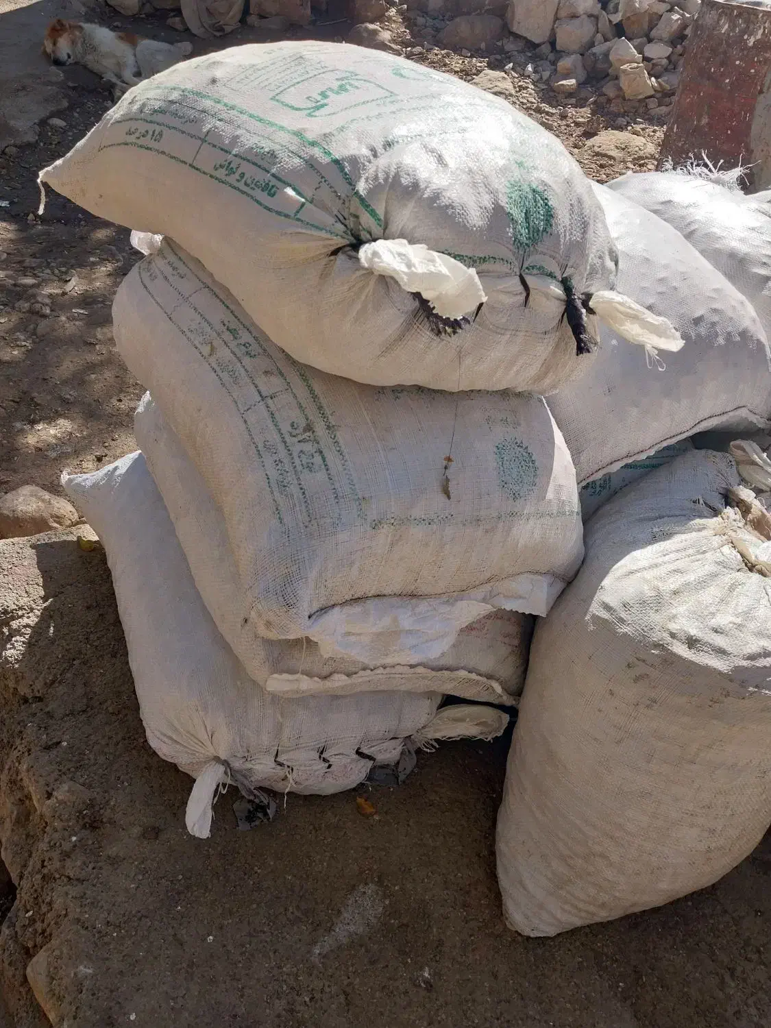 بلوط خوب تازه|لوازم جانبی حیوانات|بازفت, |دیوار