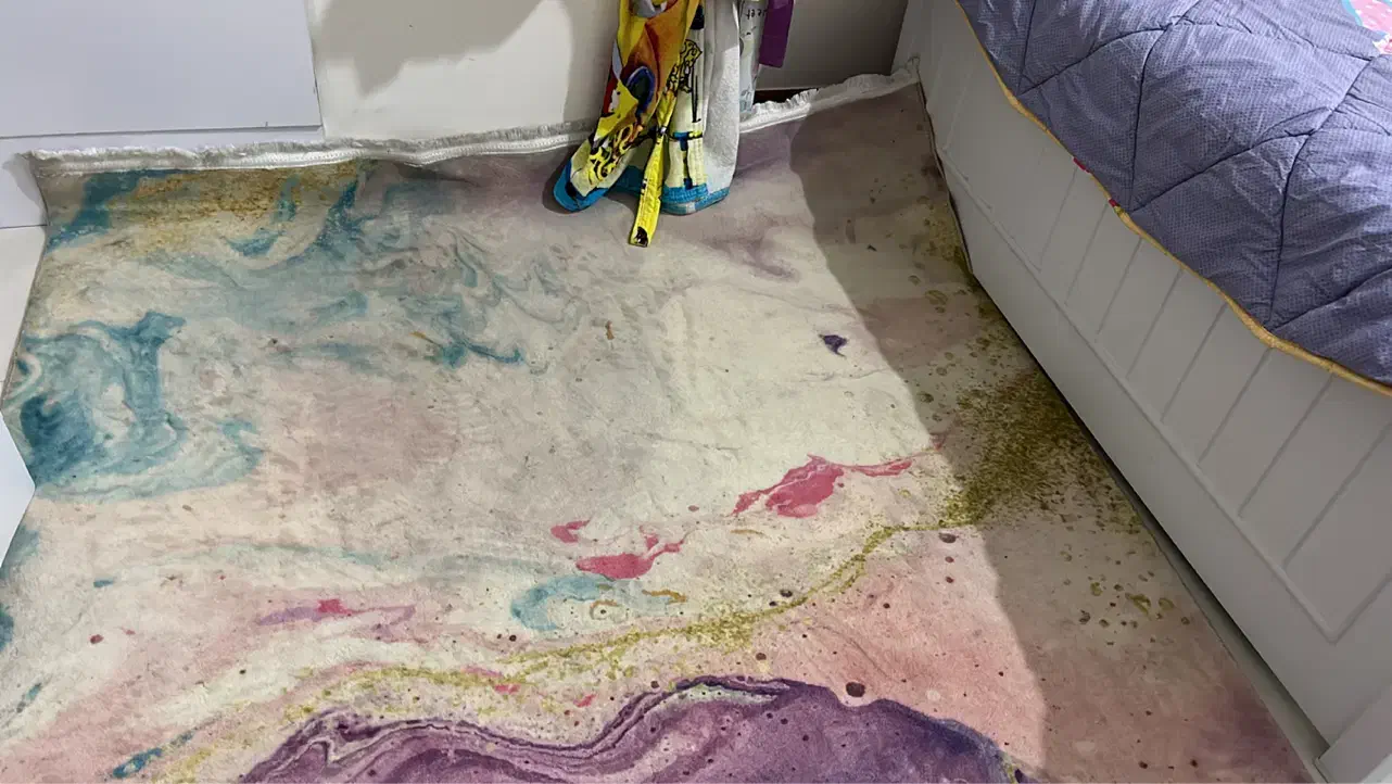 قالی|فرش|کرمان, |دیوار