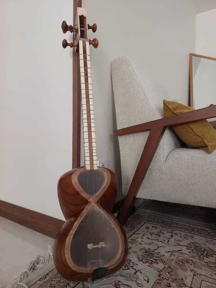 تار|سازهای سنتی|تهران, شهران شمالی|دیوار