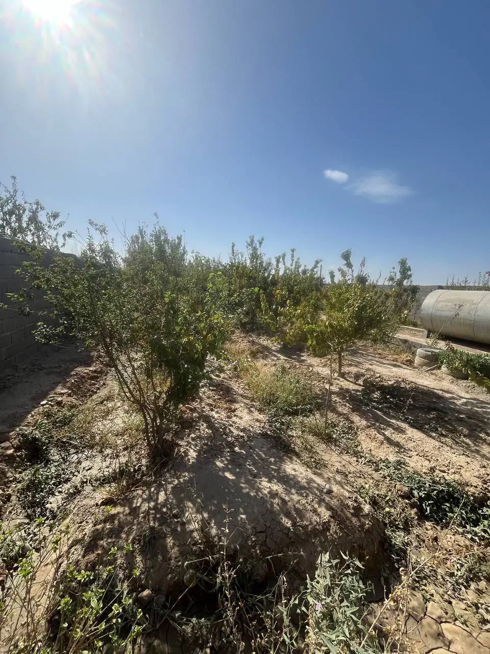 فروش باغ پونصد متری|فروش زمین و ملک کلنگی|بهارستان, |دیوار