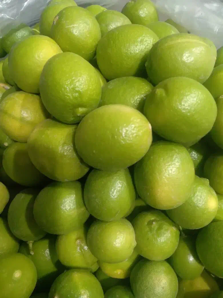 یک خانم مجرد جهت خونه داری و آشپزی|استخدام سرایداری و نظافت|اهواز, کوی مهدیس|دیوار