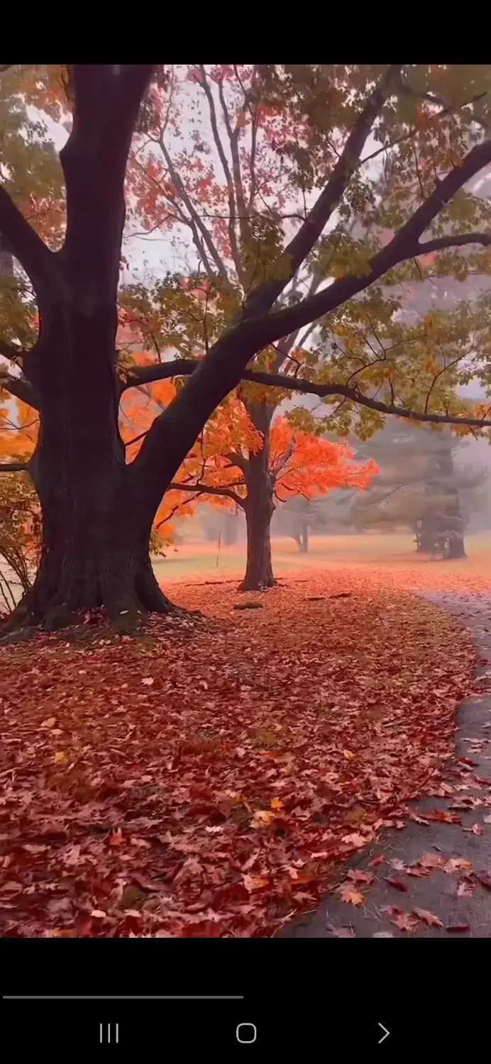 به یک نفر نظافتچی اتباع نیازمندیم|خدمات نظافت|تهران, بلوار کشاورز|دیوار