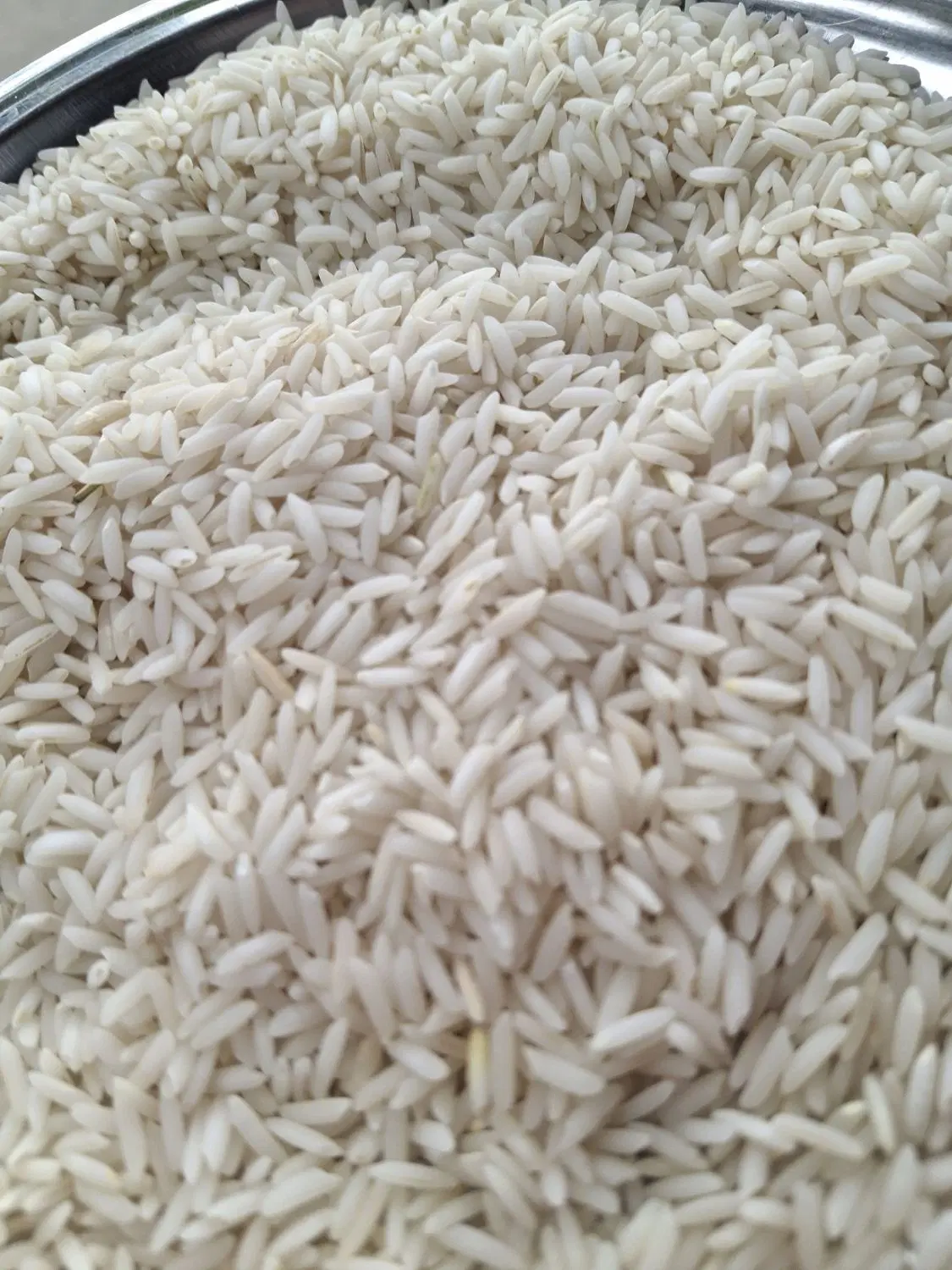 برنج هاشمی درجه یک گیلان|خوردنی و آشامیدنی|تهران, امیرآباد|دیوار