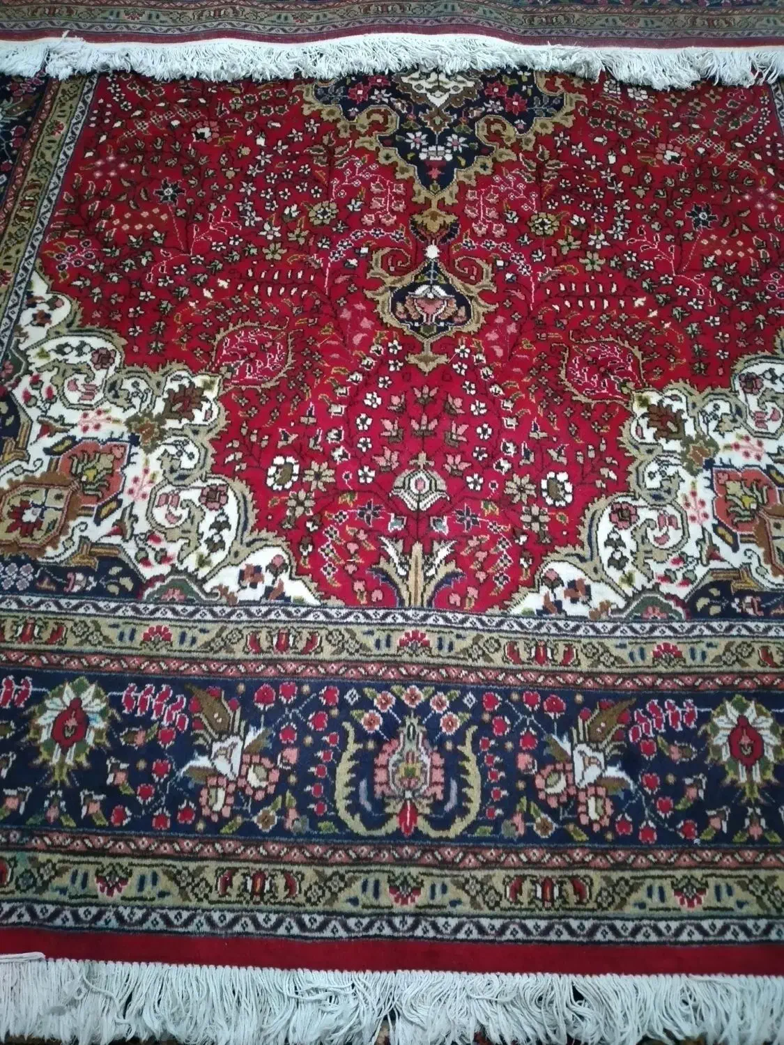 تک ۶متری کرمان قلم درحدنو|فرش|مراغه, |دیوار