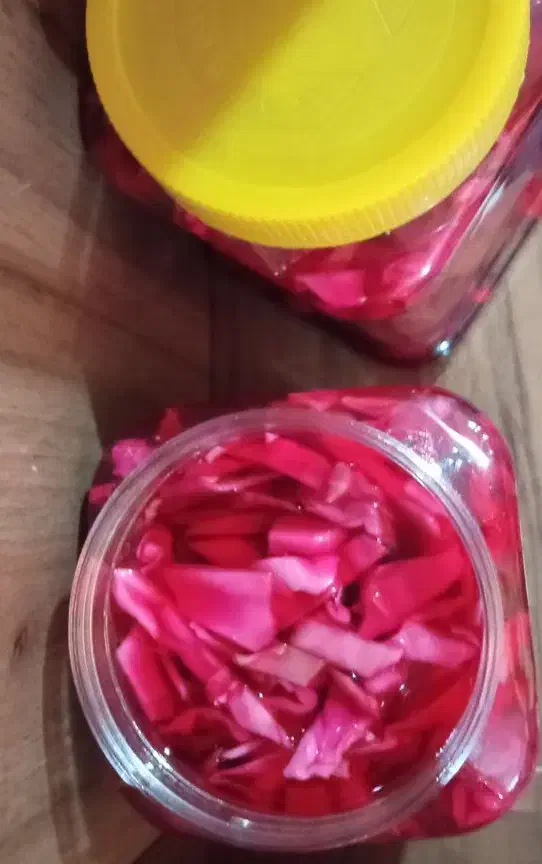 ترشی کلم قرمز|خوردنی و آشامیدنی|فولادشهر, B8|دیوار