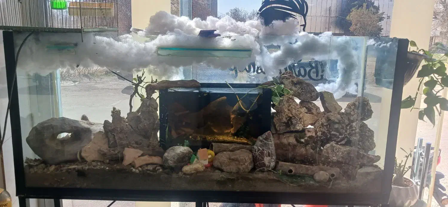 همکاری به صورت شراکتی یا تحویل کامل با اساسیه|اجارهٔ مغازه و غرفه|نهاوند, |دیوار