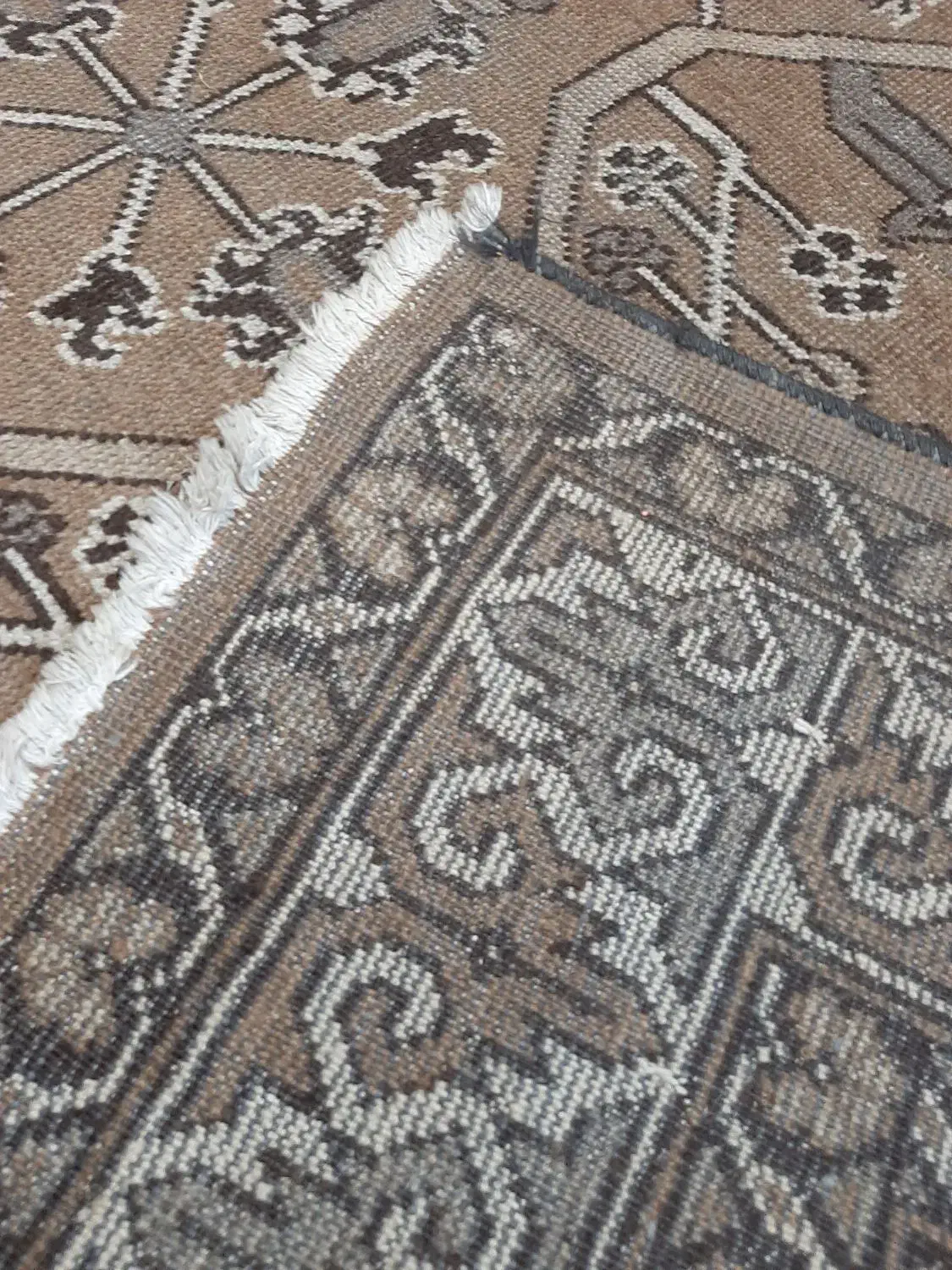 فرش دستباف ۶ متری|فرش|رشت, سیا اسطلخ|دیوار