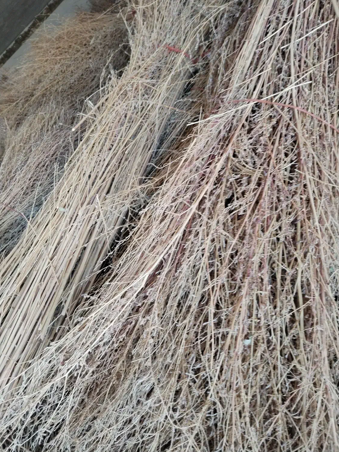 جارو شهرداری|لوازم نظافت|نهاوند, |دیوار