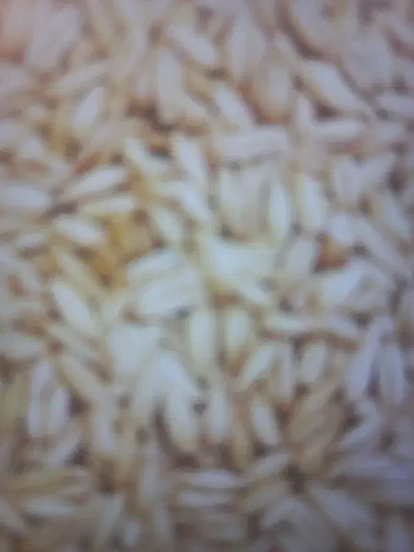 جو محلی|عمده‌فروشی|ایذه, |دیوار