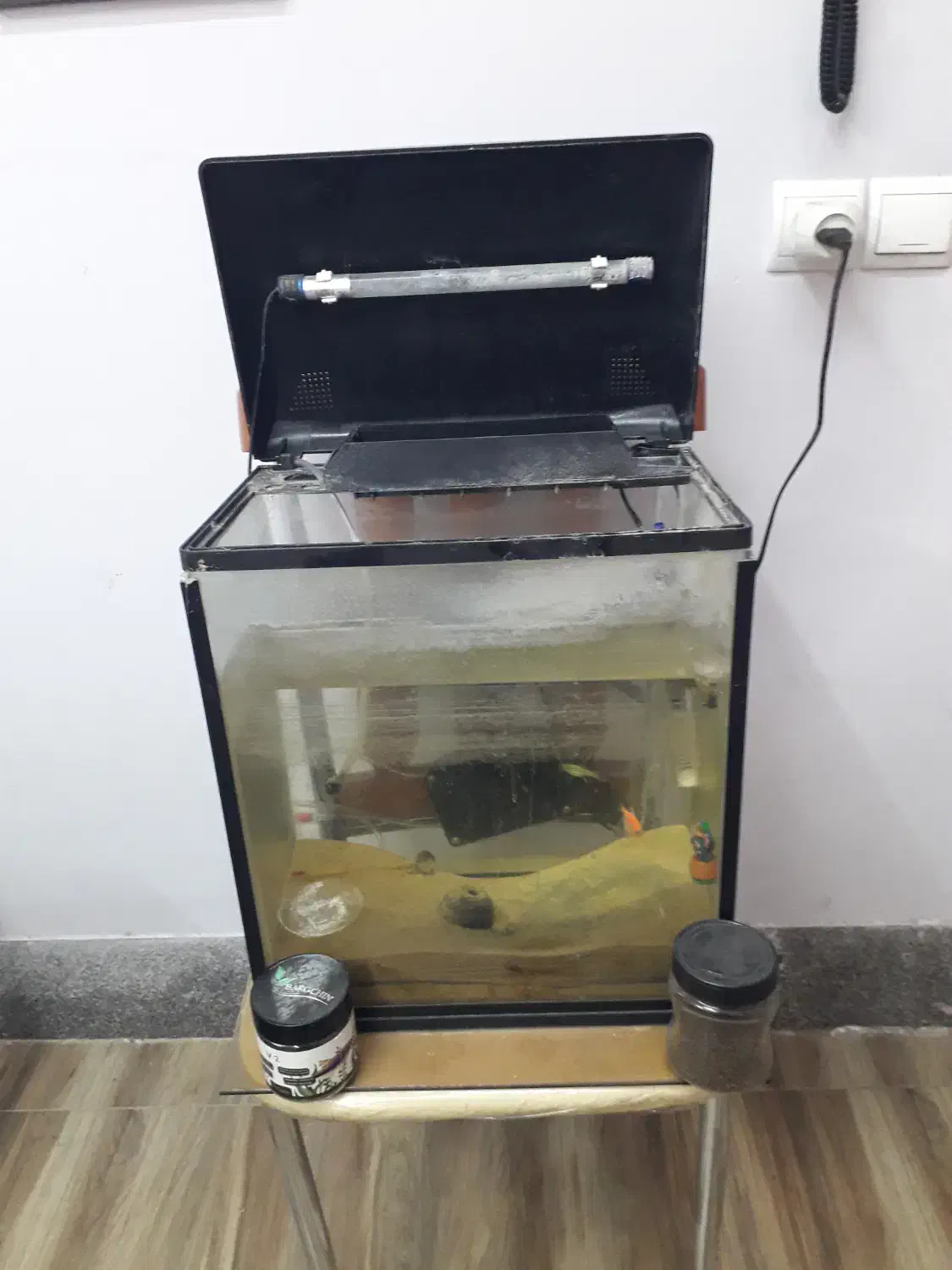 آکواریوم|ماهی|مشهد, نیروی هوایی|دیوار