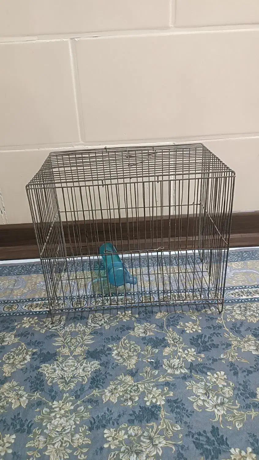 3 عدد قفس پرنده سالم|لوازم جانبی حیوانات|اهواز, زرگان|دیوار