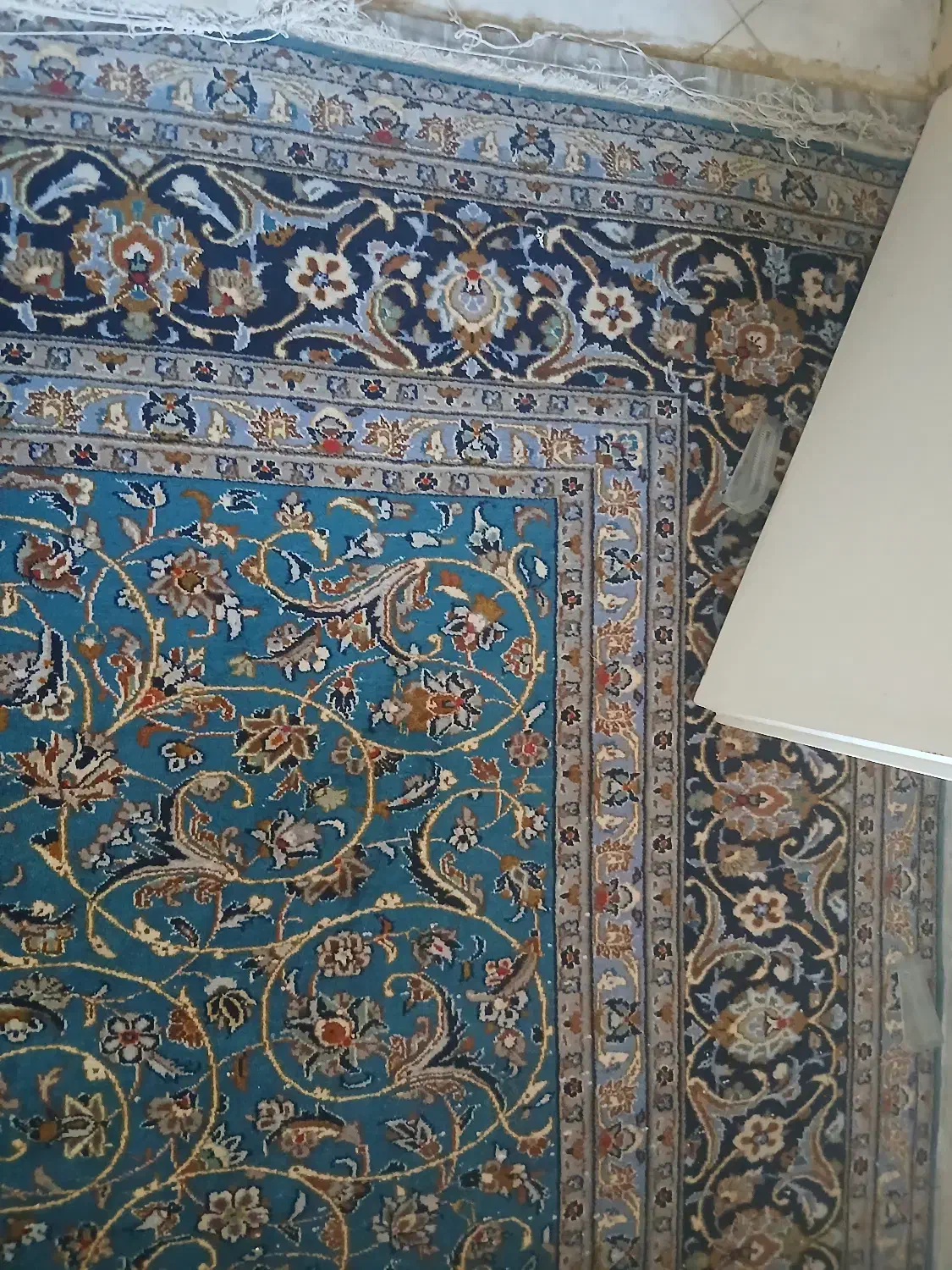 فرش دستباف ۹ متری کاشمر|فرش|پردیس, فاز ۳|دیوار