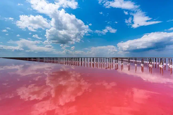 تور گروهی چابهار همراه با اقساط ده ماهه|تور و چارتر|اصفهان, باغ زرشک|دیوار