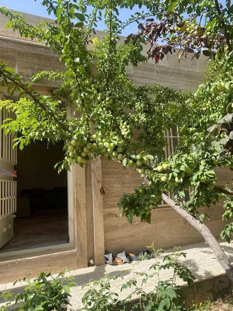 دماوندباغچه۵۰۰متری۸۰متر بنا فلت سنددار با انشعابات|فروش خانه و ویلا|تهران, تهرانپارس جنوبی|دیوار