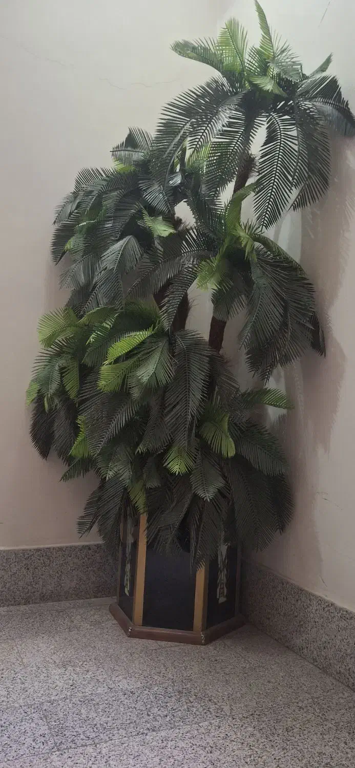 درخت کاج مصنوعی|گل مصنوعی|مشهد, کوشش|دیوار