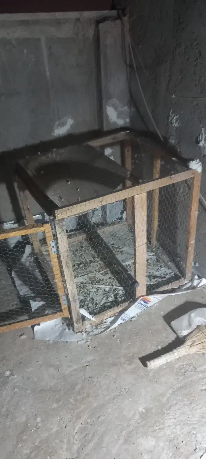 قفس کفتر|لوازم جانبی حیوانات|شاهین‌شهر, گرگاب|دیوار