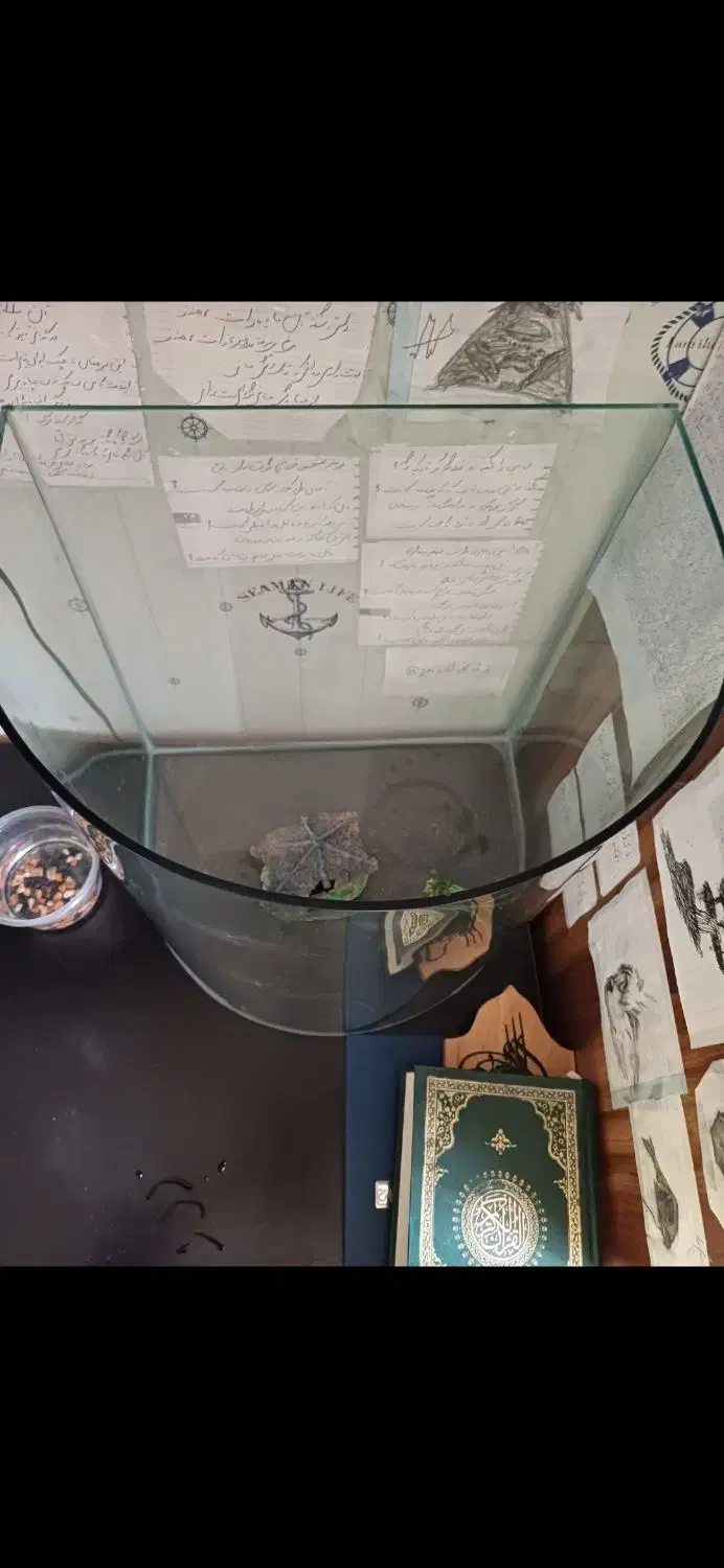 آکواریوم|ماهی|رشت, چمارسرا|دیوار