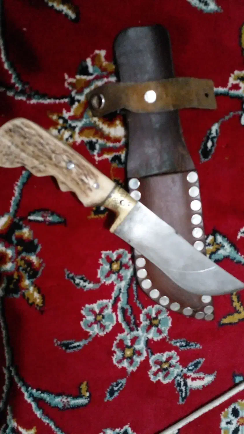 چاقو دسته شاخ|کلکسیون اشیاء عتیقه|فاضل آباد, |دیوار