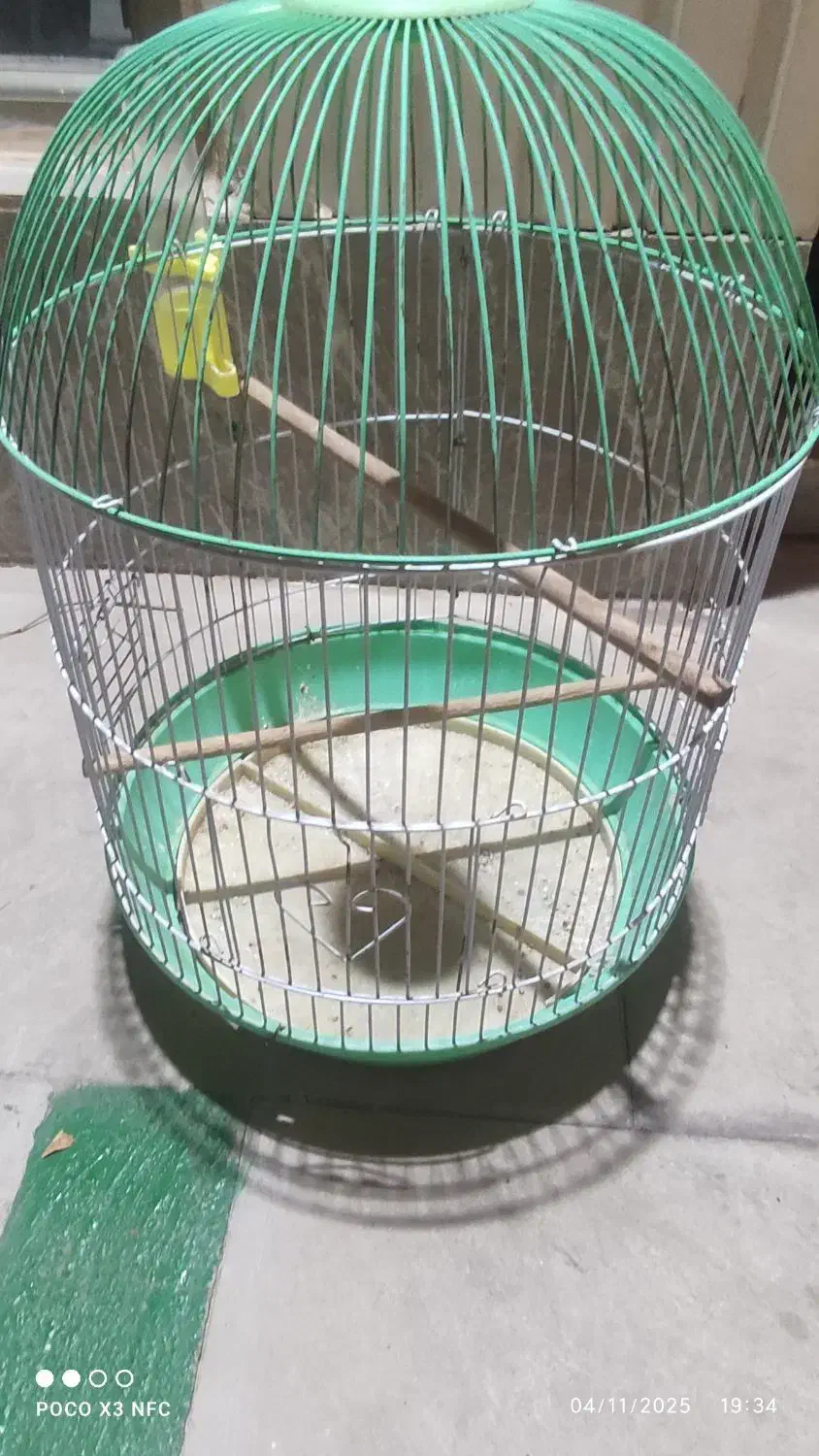 قفس پرنده|لوازم جانبی حیوانات|فولادشهر, B2|دیوار