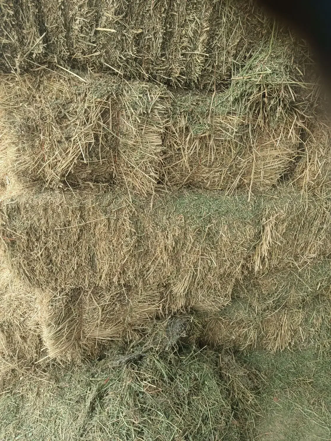 پرس یونجه چین اول|لوازم جانبی حیوانات|گلپایگان, |دیوار