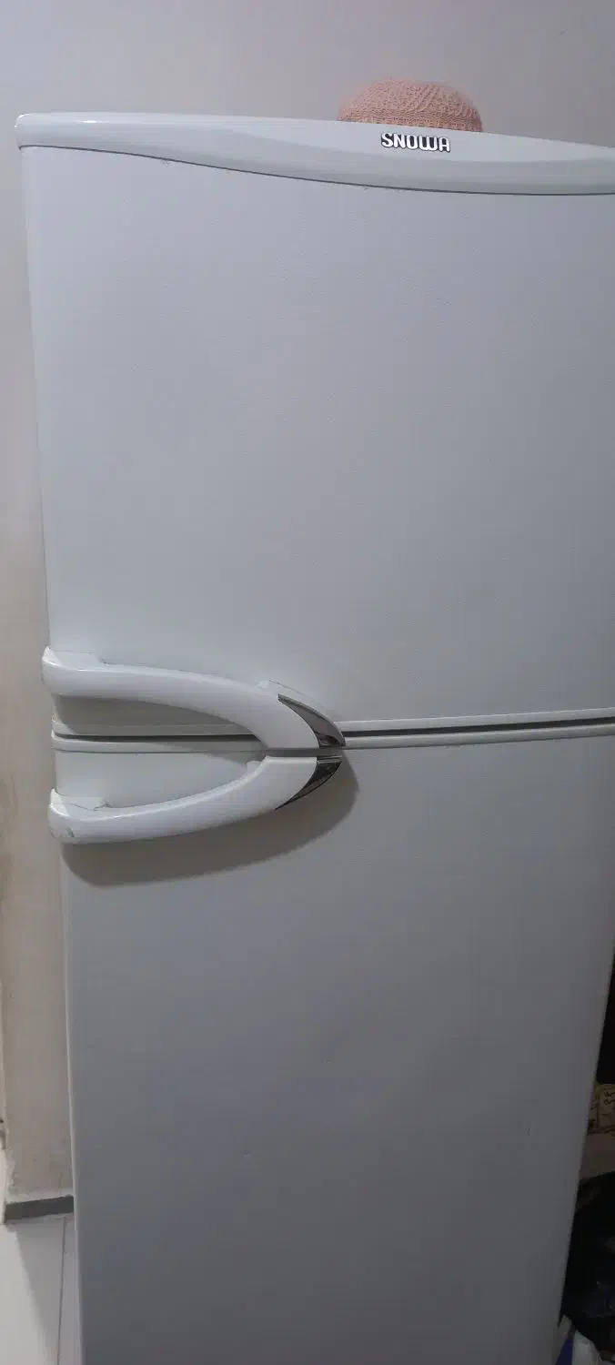 یخچال فریزر دوقلو|یخچال و فریزر|باغ ملک, |دیوار