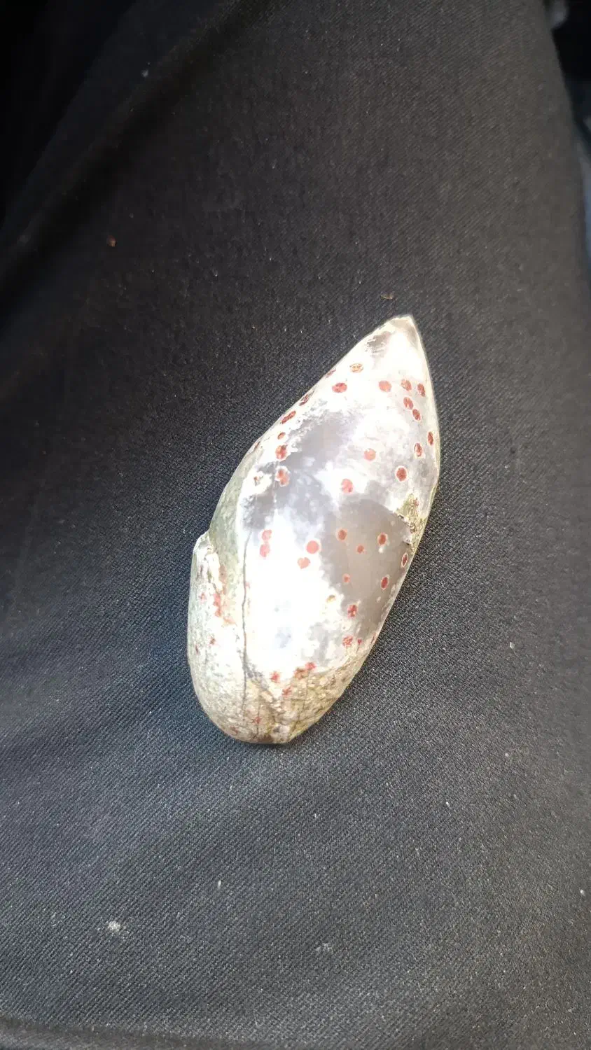 سنگ|کلکسیون و سرگرمی|کازرون, |دیوار